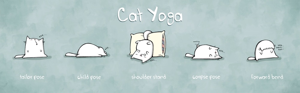 cat-yoga-4web